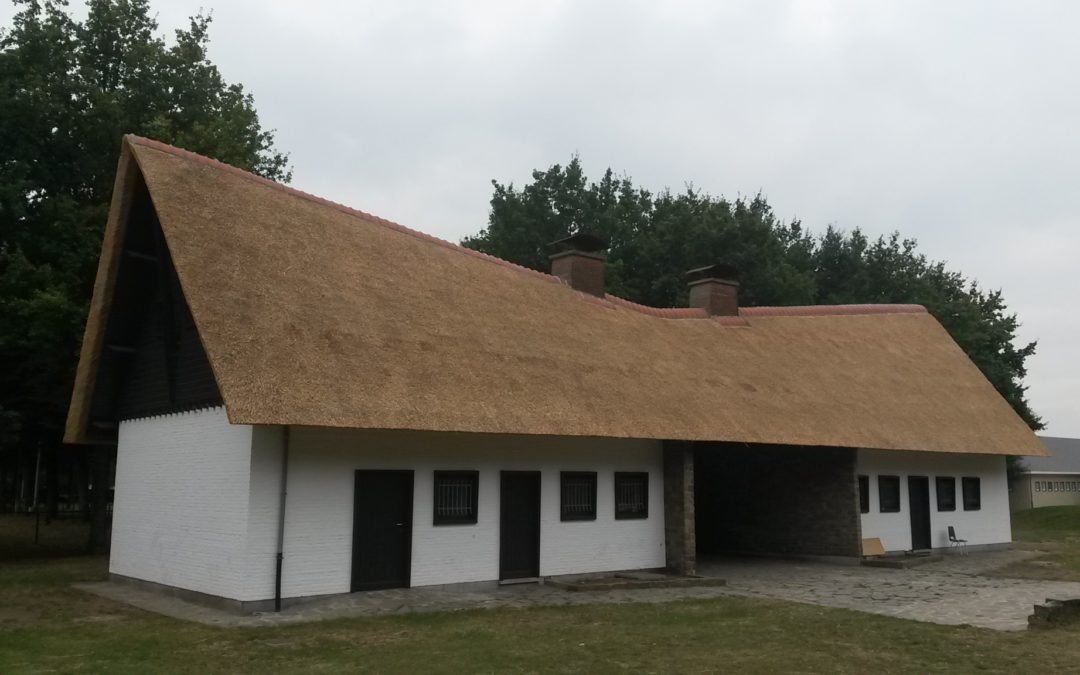 Renovatie rieten dak dienstgebouw Kielpark