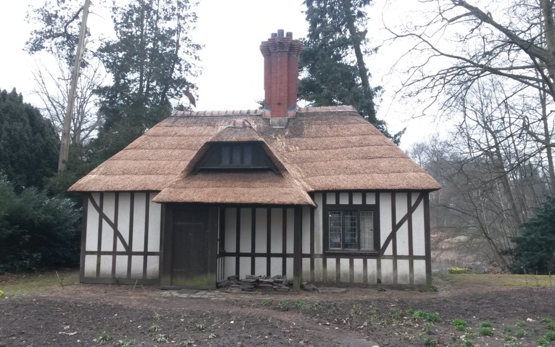 Renovatie rieten dak park Den Brandt
